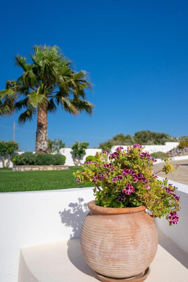 Georgia'S Apartments Kouremenos Beach Anevato Exteriör bild